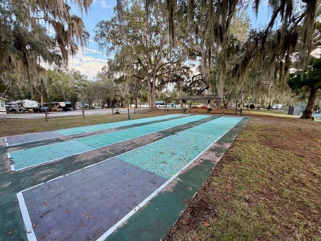 14010 NE 250TH CIRCLE, Salt Springs, FL 32134