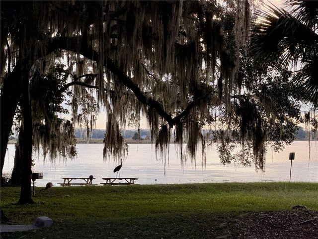 14010 NE 250TH CIRCLE, Salt Springs, FL 32134