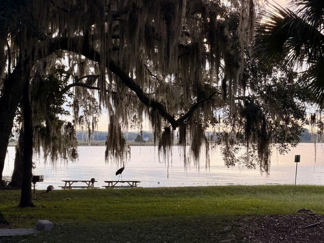 14010 NE 250TH CIRCLE, Salt Springs, FL 32134