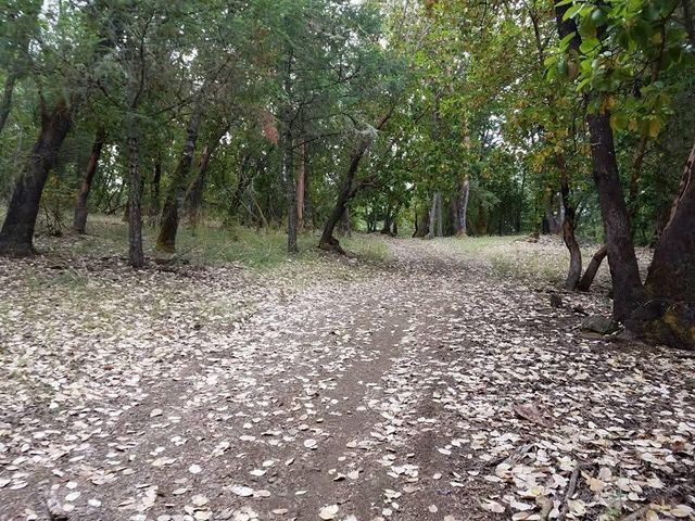 3477 Helms Road, Grants Pass, OR 97527