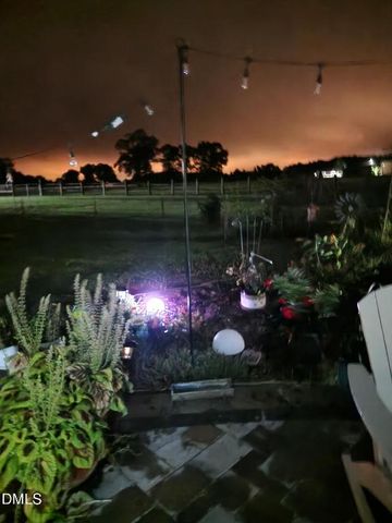 59 Two Belles Court, Angier, NC 27501