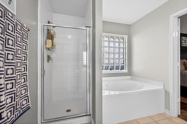 21406 Harvest Grove Court, Spring, TX 77388