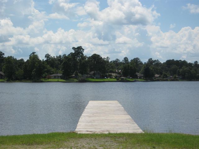 119 Colorado Spruce Drive, Warren, TX 77664