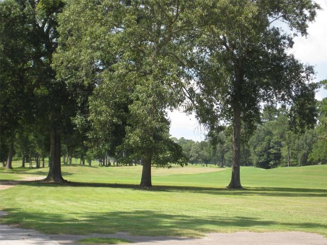 119 Colorado Spruce Drive, Warren, TX 77664