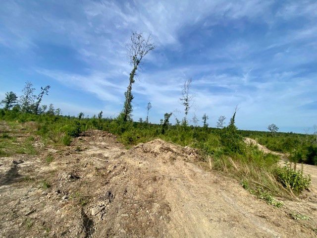 00 Dewitt Lane, Bogalusa, LA 70427