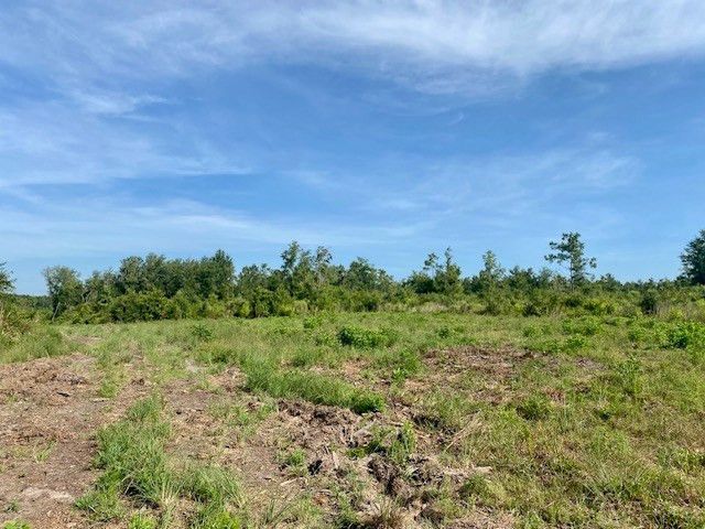 00 Dewitt Lane, Bogalusa, LA 70427