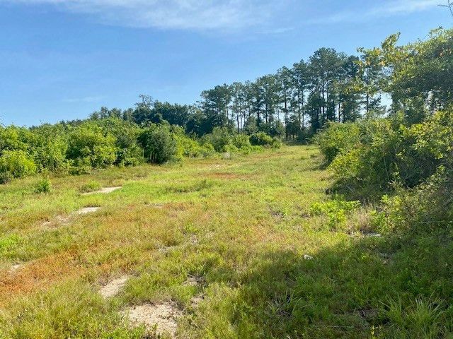 00 Dewitt Lane, Bogalusa, LA 70427