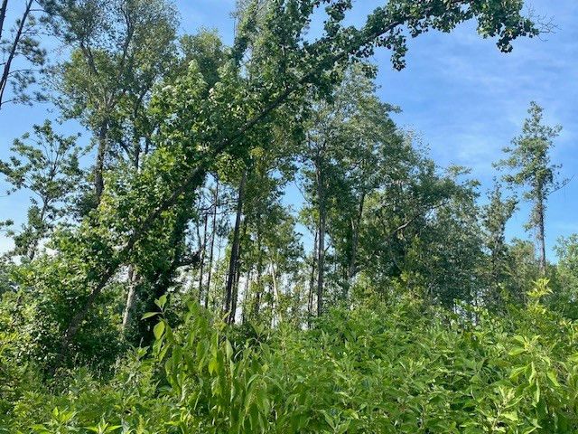 00 Dewitt Lane, Bogalusa, LA 70427