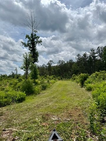 00 Dewitt Lane, Bogalusa, LA 70427