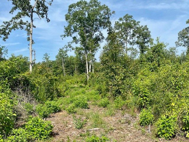 00 Dewitt Lane, Bogalusa, LA 70427