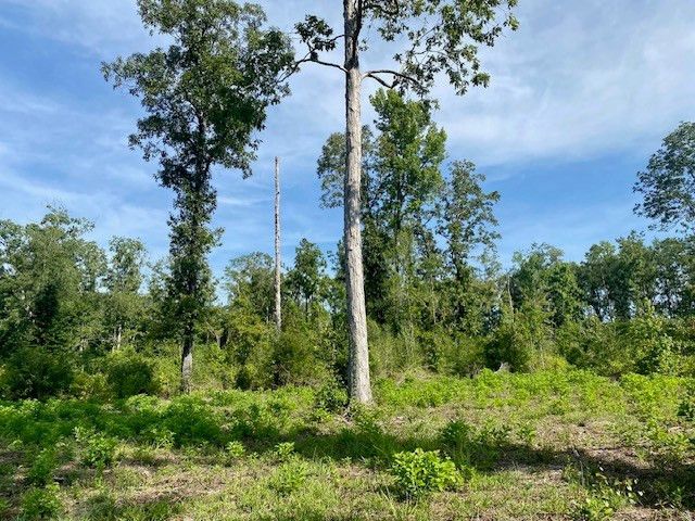 00 Dewitt Lane, Bogalusa, LA 70427