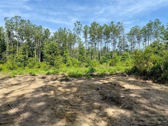 00 Dewitt Lane, Bogalusa, LA 70427