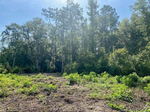 00 Dewitt Lane, Bogalusa, LA 70427