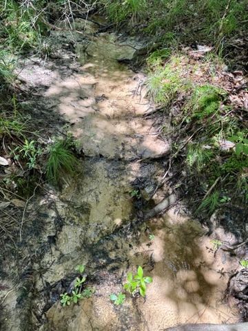 00 Dewitt Lane, Bogalusa, LA 70427