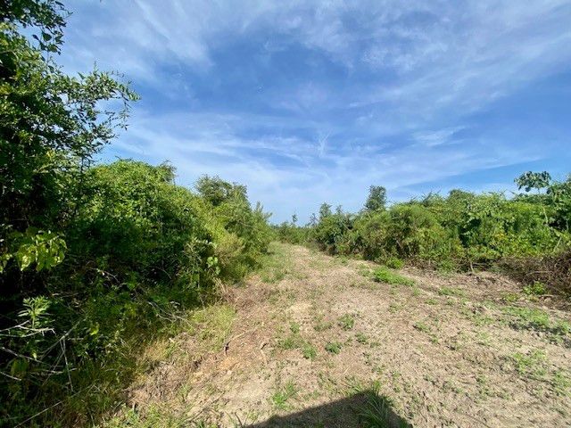 00 Dewitt Lane, Bogalusa, LA 70427