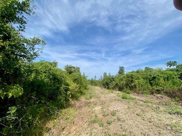 00 Dewitt Lane, Bogalusa, LA 70427