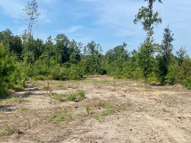 00 Dewitt Lane, Bogalusa, LA 70427