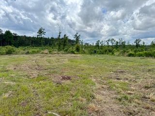 00 Dewitt Lane, Bogalusa, LA 70427