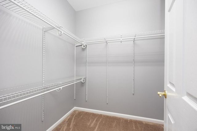 7814 BROADLEAF DR, Parsonsburg, MD 21849