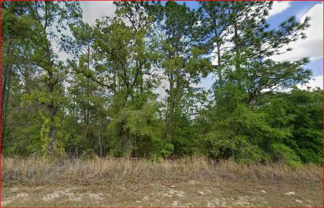 11016 N MATARO AVENUE, Citrus Springs, FL 34434
