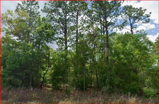11016 N MATARO AVENUE, Citrus Springs, FL 34434