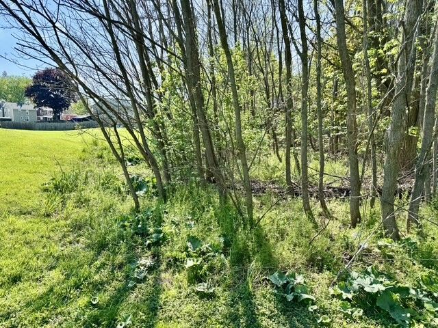 10 Montezuma Street, Lyons, NY 14489