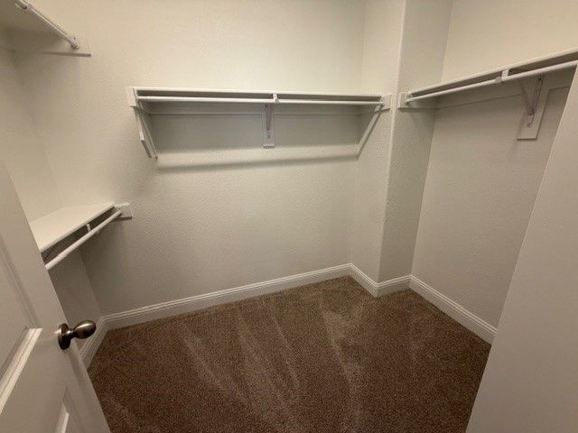 3537 Treasure Drive, Plano, TX 75074