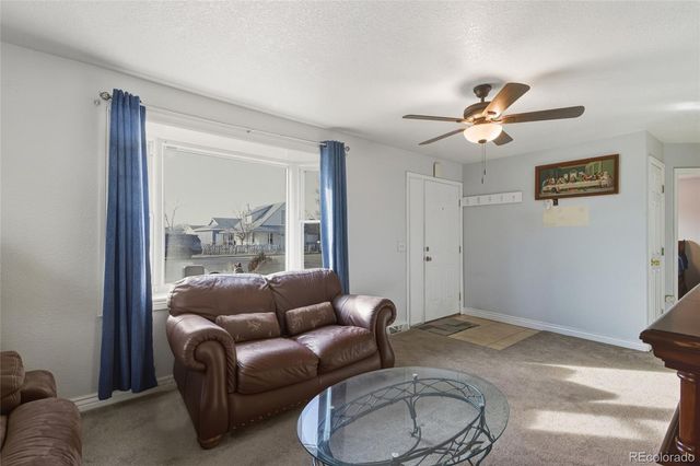 544 S 3rd Avenue, Brighton, CO 80601