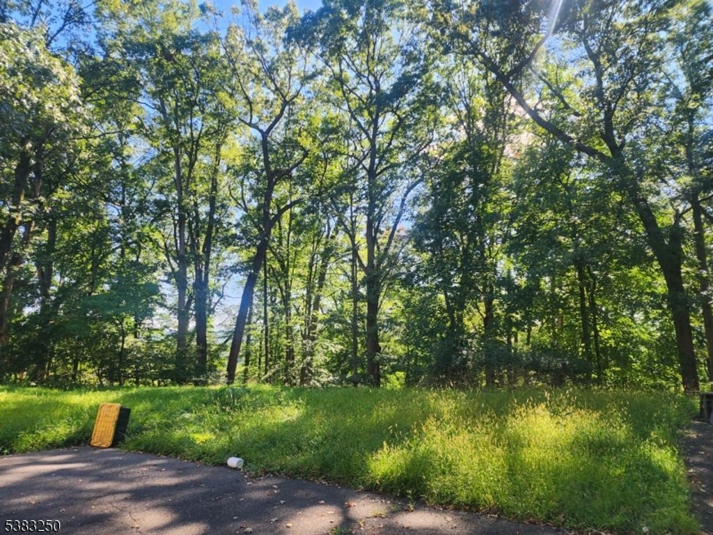 1175 Evergreen Dr, Bridgewater Twp., NJ 08807