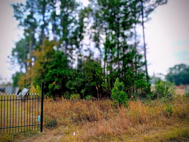 1308 County Road 3545, Cleveland, TX 77327