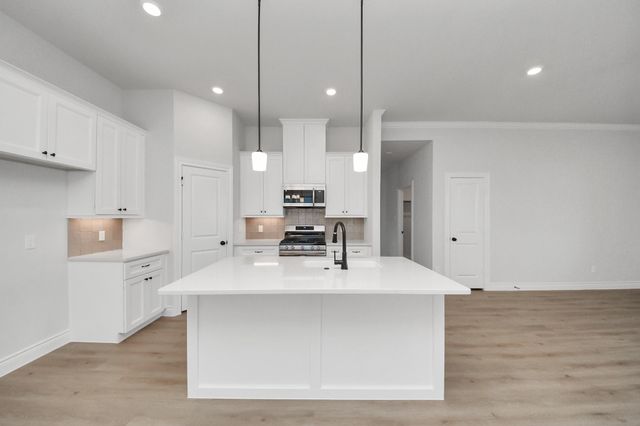 11989 Barbaro Drive, Montgomery, TX 77318