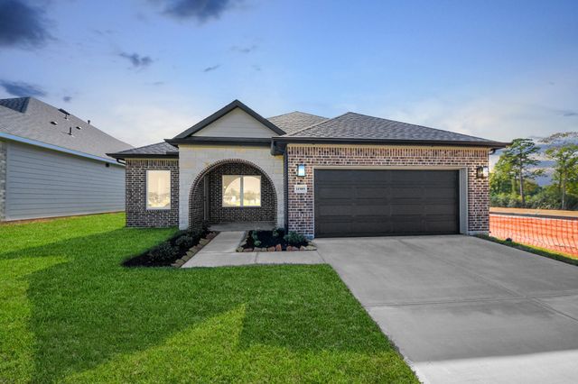 11989 Barbaro Drive, Montgomery, TX 77318
