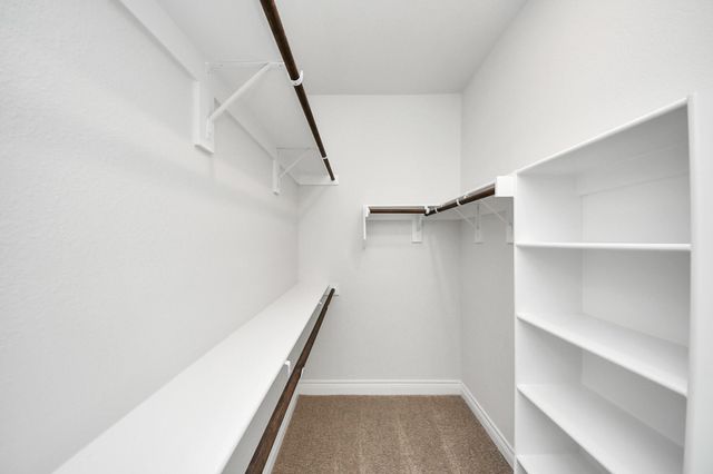 11989 Barbaro Drive, Montgomery, TX 77318