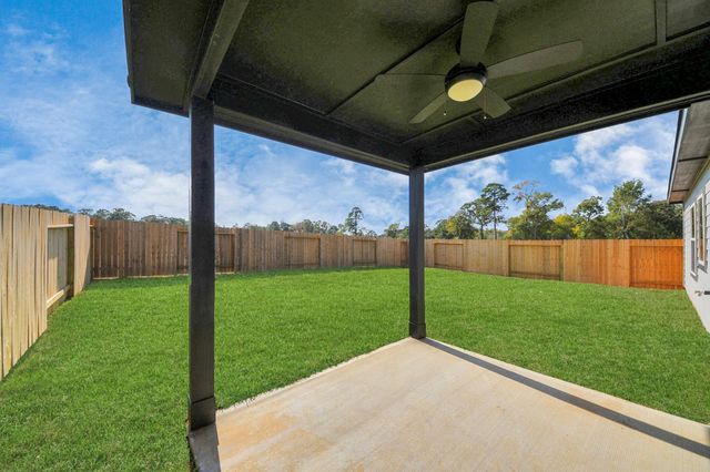 11989 Barbaro Drive, Montgomery, TX 77318