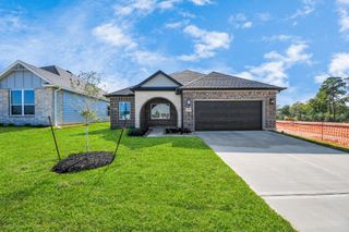 11989 Barbaro Drive, Montgomery, TX 77318