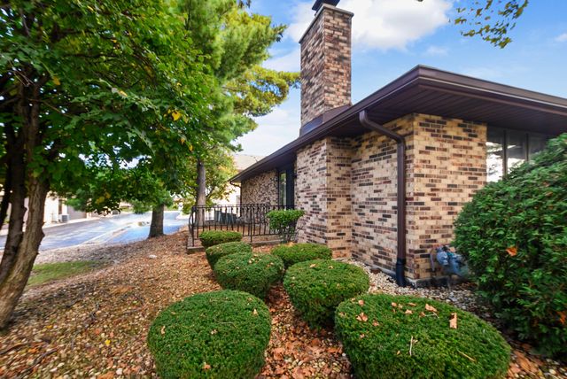 8316 ASHLEY Lane 1272, Tinley Park, IL 60477