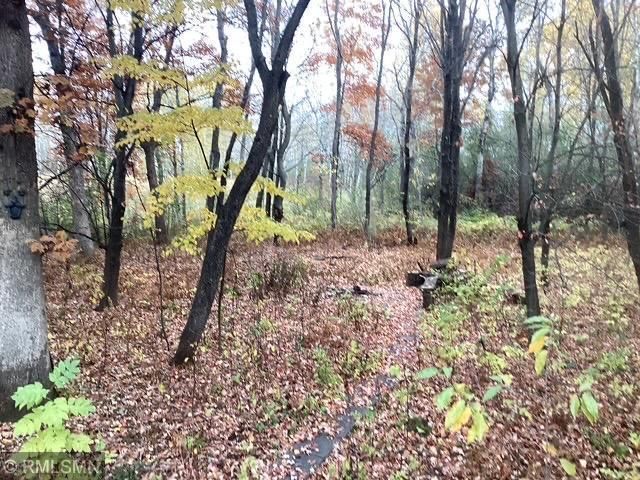 6323 Red Maple Lane, Lino Lakes, MN 55014