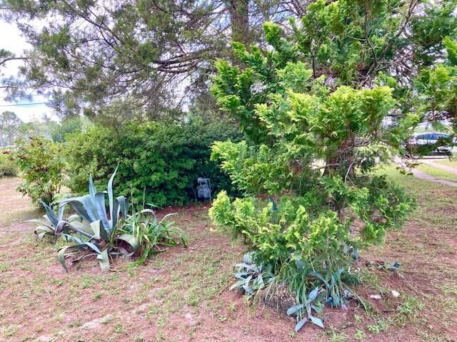 17 Nowling Drive, Defuniak Springs, FL 32433