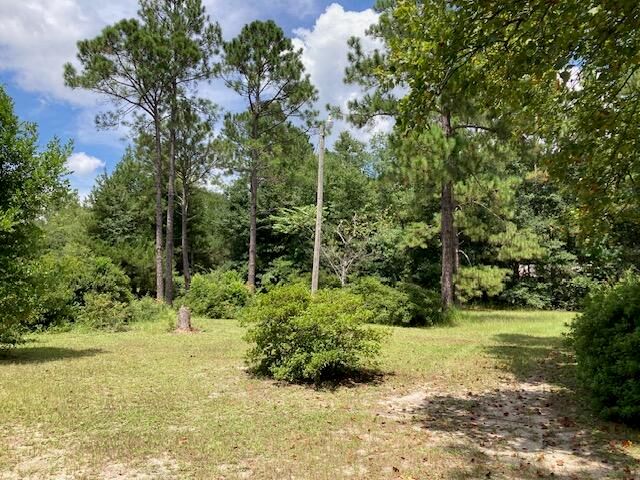 17 Nowling Drive, Defuniak Springs, FL 32433
