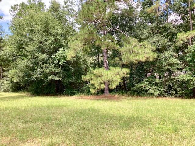 17 Nowling Drive, Defuniak Springs, FL 32433