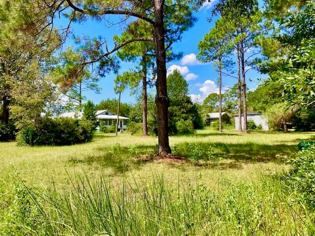 17 Nowling Drive, Defuniak Springs, FL 32433