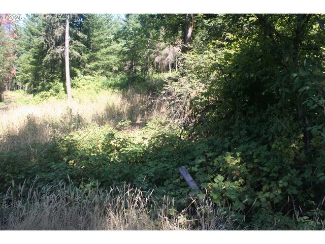 3647 Briar Knob Loop Ne, Scotts Mills, OR 97375