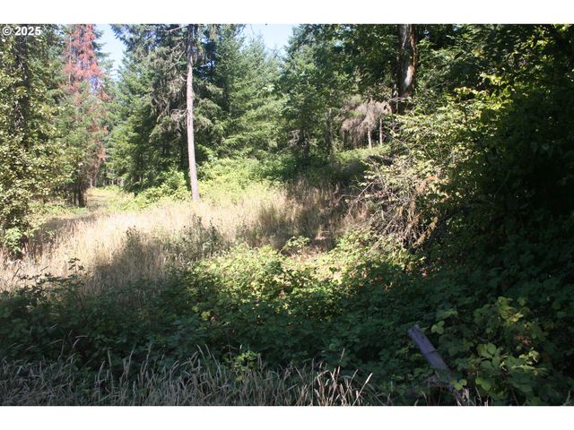 3647 Briar Knob Loop Ne, Scotts Mills, OR 97375