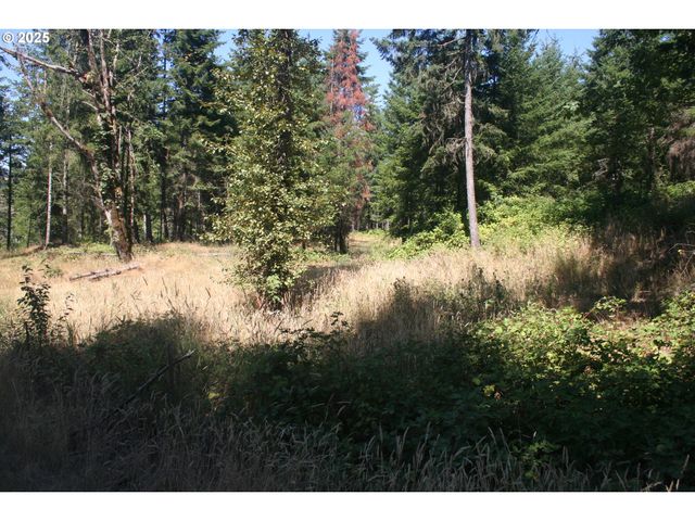 3647 Briar Knob Loop Ne, Scotts Mills, OR 97375