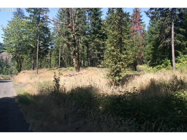 3647 Briar Knob Loop Ne, Scotts Mills, OR 97375