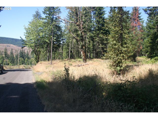 3647 Briar Knob Loop Ne, Scotts Mills, OR 97375