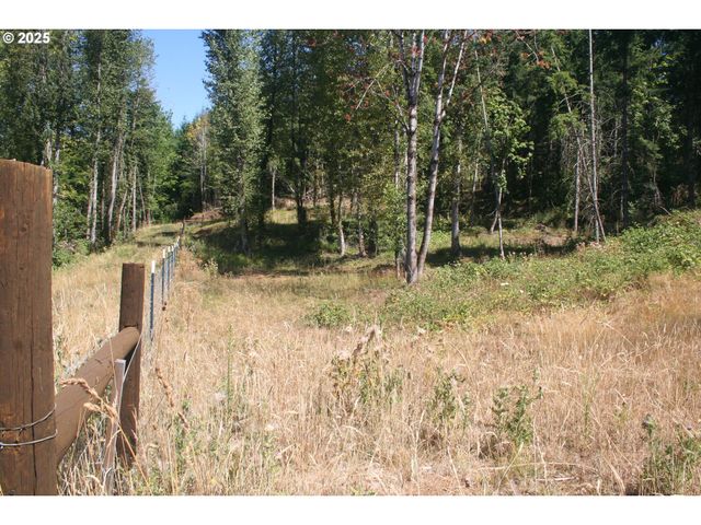 3647 Briar Knob Loop Ne, Scotts Mills, OR 97375
