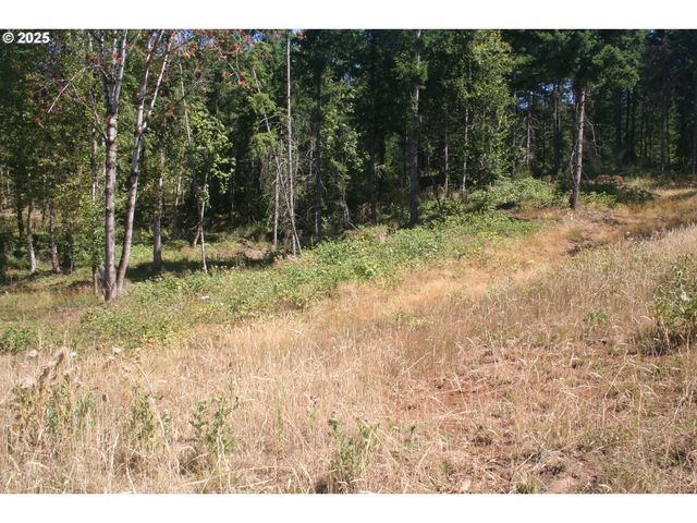 3647 Briar Knob Loop Ne, Scotts Mills, OR 97375