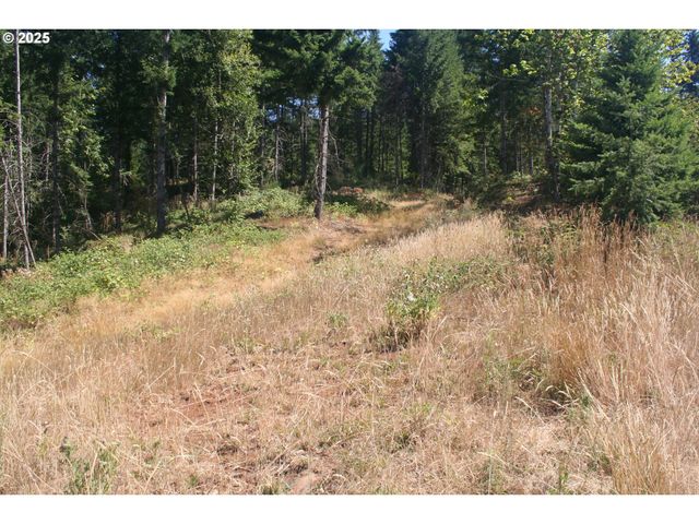 3647 Briar Knob Loop Ne, Scotts Mills, OR 97375