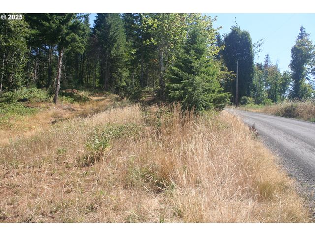 3647 Briar Knob Loop Ne, Scotts Mills, OR 97375